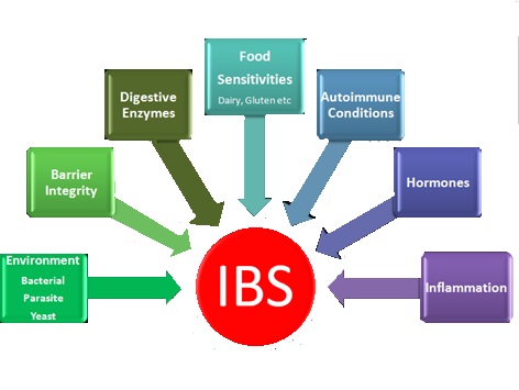 IBS Homeopathic treatment india punjab