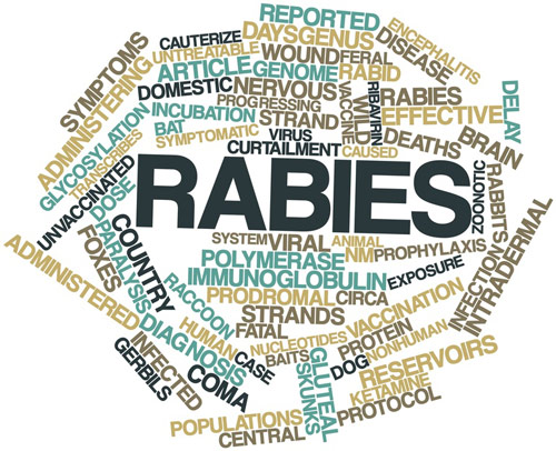 Rabies Homeopathic Treatment