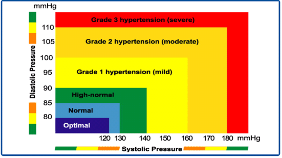 Hypertension Homeopathic Treatment symptoms,factors,causes, contribute ...